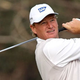 Illustration for article titled Ernie Els Missing After Entering Woods To Find Golf Ball